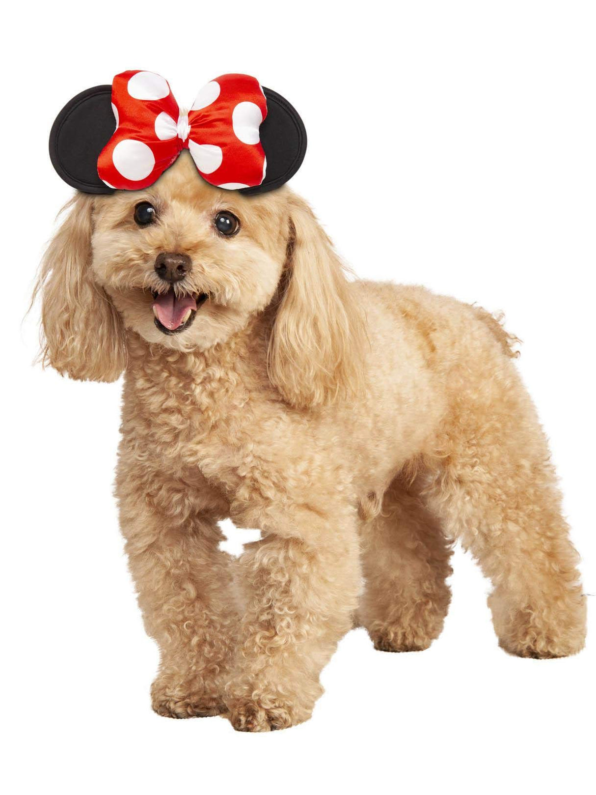 Disney: Minnie Mouse Pet Costume for For Dogs or Cats by Rubies, S/M