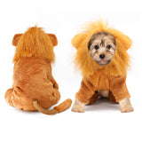 Rypet Dog Lion Costume Pet Clothes for Halloween Party Simulation Lion Pets Outfits Cosplay Dress up Clothes Pet Lions Hoodie Cat Costume for Party