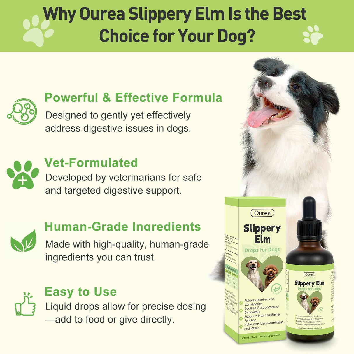 Slippery Elm for Dogs, Organic Herbal Digestive Support Drops for Dog Diarrhea Constipation Sensitive Stomach Acid Reflux, Promotes Healthy Digestion Bowel Function, Liquid Formula for All Breeds