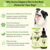 Slippery Elm for Dogs, Organic Herbal Digestive Support Drops for Dog Diarrhea Constipation Sensitive Stomach Acid Reflux, Promotes Healthy Digestion Bowel Function, Liquid Formula for All Breeds
