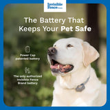 Invisible Fence Power Cap Battery - Original IFB Electric Fence Battery Replacement for Dog Collars - Long-Lasting - 2 Pack