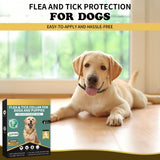 Lerqua Flea Collar for Dogs 4 Pack, 32 Months Comfort Flea and Tick Prevention, Waterproof Dog Flea and Tick Collar, Adjustable Flea and Tick Treatment for Dogs - One Sizes Fit All (Black)