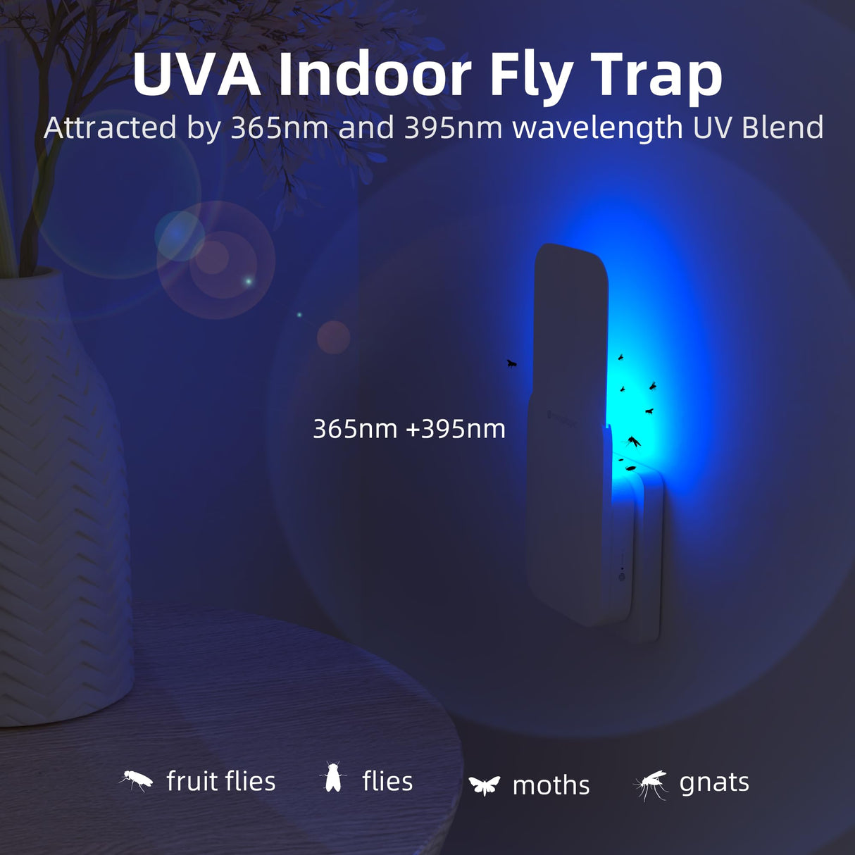 Mosalogic Fly Insect Trap Plug-in Fruit Flies Killer Gnat Trapper Moth Catcher Fly Trapper UV Attractant Catcher for 400 Sq Ft of Protection Yellow-1PACK