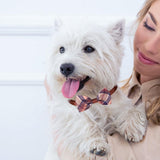 Segarty Dog Bow Ties and Small Dog Tie Set, 100 Pack Bowties for Pets Adjustable Bowties Pet Necktie Collar Set Grooming Accessories Bulk for Cats Puppy Birthday Wedding Party