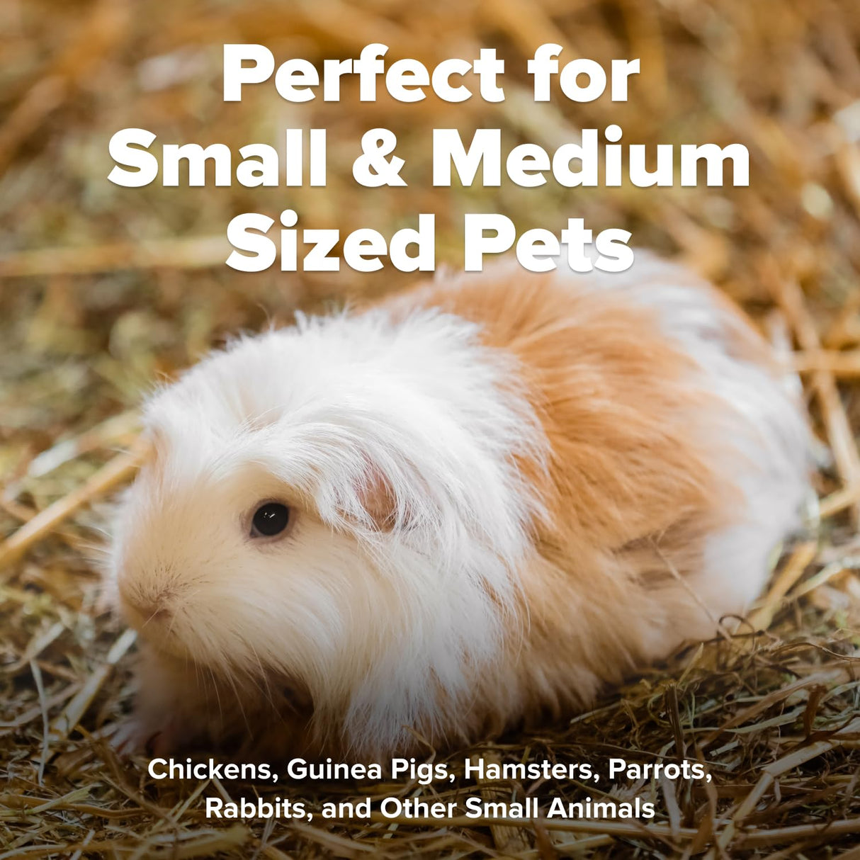 All Walks 18.5 Liter Premium Natural Hemp Bedding, Odor Control, Low Dust, Highly Absorbent, for Rabbits, Hamsters, & Small Animals, Biodegradable, Made in USA