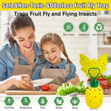 Fruit Fly Trap for Indoors, Effective Fly Catcher Gnat Killer with Double-Sided Sticker, 2024 New Upgrade Fruit Fly Gnat Trap with Bait, Non-Toxic and Reusable Fly Trap for Home, Kitchen - 2 Pack