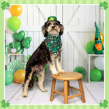 Cuffbow 200 Pcs St. Patrick's Day Dog Bandanas Bulk with Sayings Dog Bandanas Triangle Scarf Puppy Bibs Pet Costume Adjustable Cat Outfit Washable Bibs Kerchief for Small Medium Pet