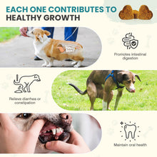 Load image into Gallery viewer, Probiotics for Dogs Gut Digestive Health Probiotic Chew for Dogs Digestive Enzymes Relieve Diarrhea Immunity Oral Problems Itching Constipation Prebiotics Dog Probiotics 200 Tablets Chicken Flavor
