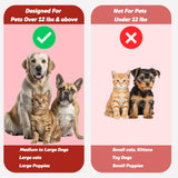 Pet Toothbrush for Dogs, Cats with Soft Bristles - Easy Teeth Cleaning & Dental Care, Non Slip Dual Head Dog Toothbrush for Medium & Large Pets, Toothpaste Not Included, Pack of 4
