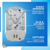 Zevo [Refill + Device] Flying Insect Trap Fly Trap, Flying Insects Fruit Flies Gnats House + Sticky Fruit Trap & (1) Card Protector Venancio’sSticker (2 Devices + 2 Refills)