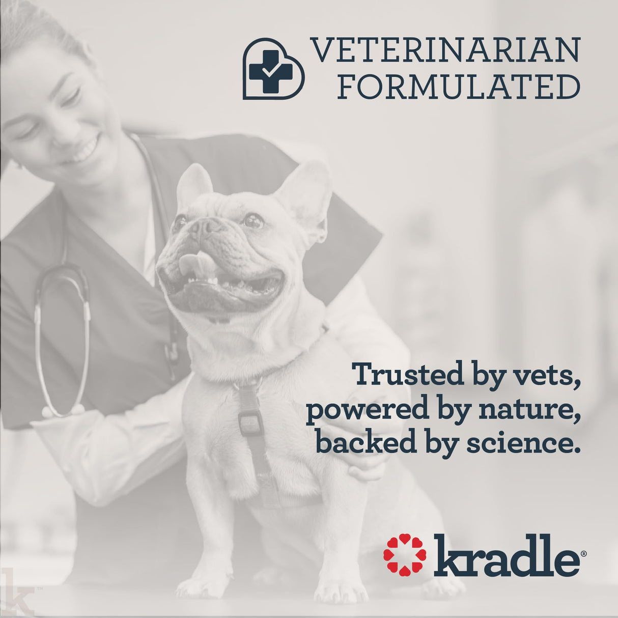 Kradle Hip and Joint Chews for Dogs - Daily Mobility & Joint Health Supplement - Soft Chews with Glucosamine, Chondriotin, MSM, Hyaluronic Acid & Turmeric - 75 Chews