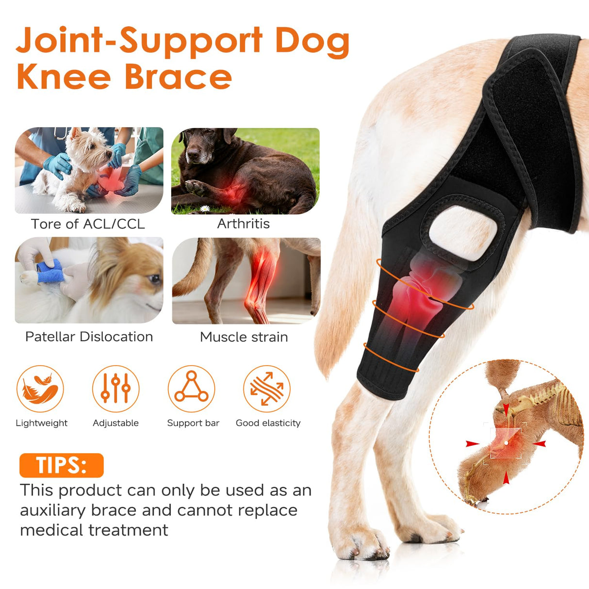 Jorme Dog Knee Brace for Torn ACL, Dog Leg Brace for Post-Surgery Recovery, Arthritis & Luxating Patella,Side Stabilizers, Breathable Neoprene, Adjustable Velcro & Belly Band,Front/Rear Legs (L)