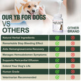 Aids in Cancer Treatment, Quick Stop Bleeding, Yunnan Sanqi Powder for Hemangiosarcoma, Hemoabdomen, Pericardial Effusion, Cancer Bleeding, Nose Bleed, Bloody Stools, Blood Support for Dogs, 100g
