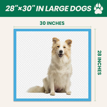Load image into Gallery viewer, 100 Count Large Dog &amp; Cat Puppy Pee Pads - 28"x30" Absorbent Potty Training Pads | Leakproof Quick-Dry Disposable Pet Pads for Puppies, Dogs &amp; Cats | Indoor, Outdoor, Litter Box, Housebreaking Use
