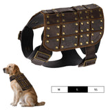 EpicCos Medieval Dog Costume, No-Leash Studded Decorative Faux Leather Vest Harness, 3-Size Pet Apparel for Cosplay (L)