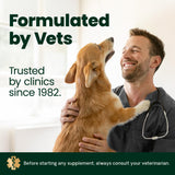 VetriScience Healthy Hip & Joint Chews, GlycoFlex Glucosamine and Green-Lipped Mussel Joint Support Supplement for Dogs, Promote Mobility and Protect Joints, Chicken, 120 Count