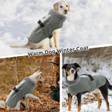 Queenmore Dog Winter Jacket, Fleece Dogs Vest for Winter, Dog Cold Weather Coats, Puppy Coats for Medium Breeds Waterproof, Pet Snowsuit with Leash Hole, Grey, M