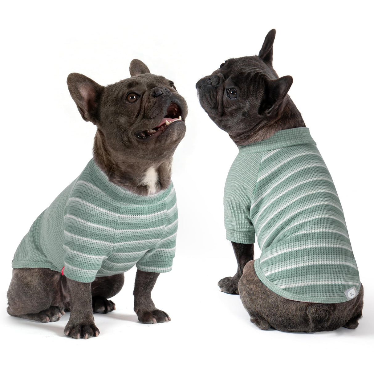 KYEESE 2Pack Waffle Dog Shirt with Sleeves, Lightweight Dog T Shirts for Small Medium Dogs Boy Girl, Breathable Pet Tee Shirts Soft Dogs Clothes for Daily Wear, Green+Striped, XL