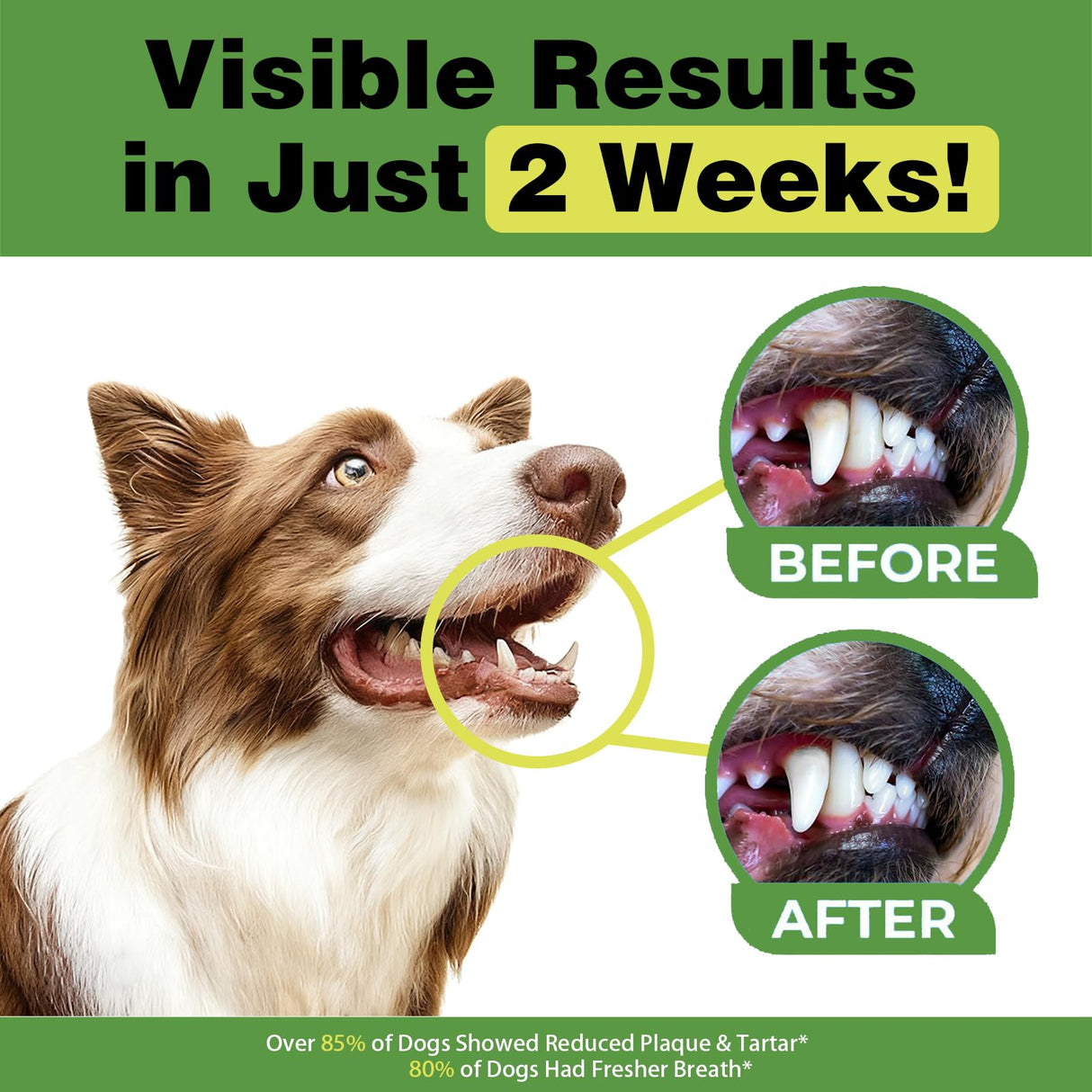 Dog Dental Powder, Teeth Cleaning Powder for Dogs, Plaque & Tartar Remover for Pet Oral Care - Fresh Breath & Teeth Cleaning Made Easy - Natural Herbal Blend + Probiotics - 75 Servings(150g) (Mint)