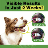 Dog Dental Powder, Teeth Cleaning Powder for Dogs, Plaque & Tartar Remover for Pet Oral Care - Fresh Breath & Teeth Cleaning Made Easy - Natural Herbal Blend + Probiotics - 75 Servings(150g) (Mint)