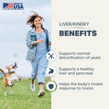 Four Leaf Rover Dog Liver Support - with Organic Milk Thistle & Mushrooms - with Kidney Support - Detox & Cleanse - Veterinarian Formulated