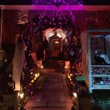TW SHINE Purple and Orange Halloween Lights, 2 Pack 20FT 100 Count Incandescent Halloween Mini String Lights, Waterproof Halloween Decorations for Outdoor Indoor Patio Home Party Garden Yard Decor