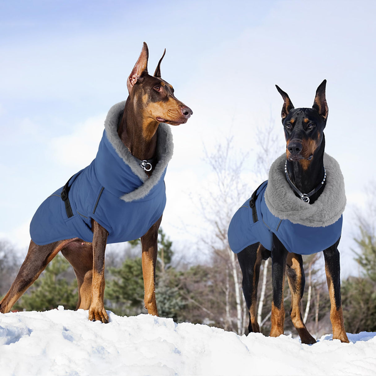 Petglad Dog Coat, Waterproof Dog Winter Jacket with Adjustable Buckle, Reflective Turtleneck Pet Snow Vest Warm Fleece Sweater for Small Medium Large Dogs - Blue, 3XL