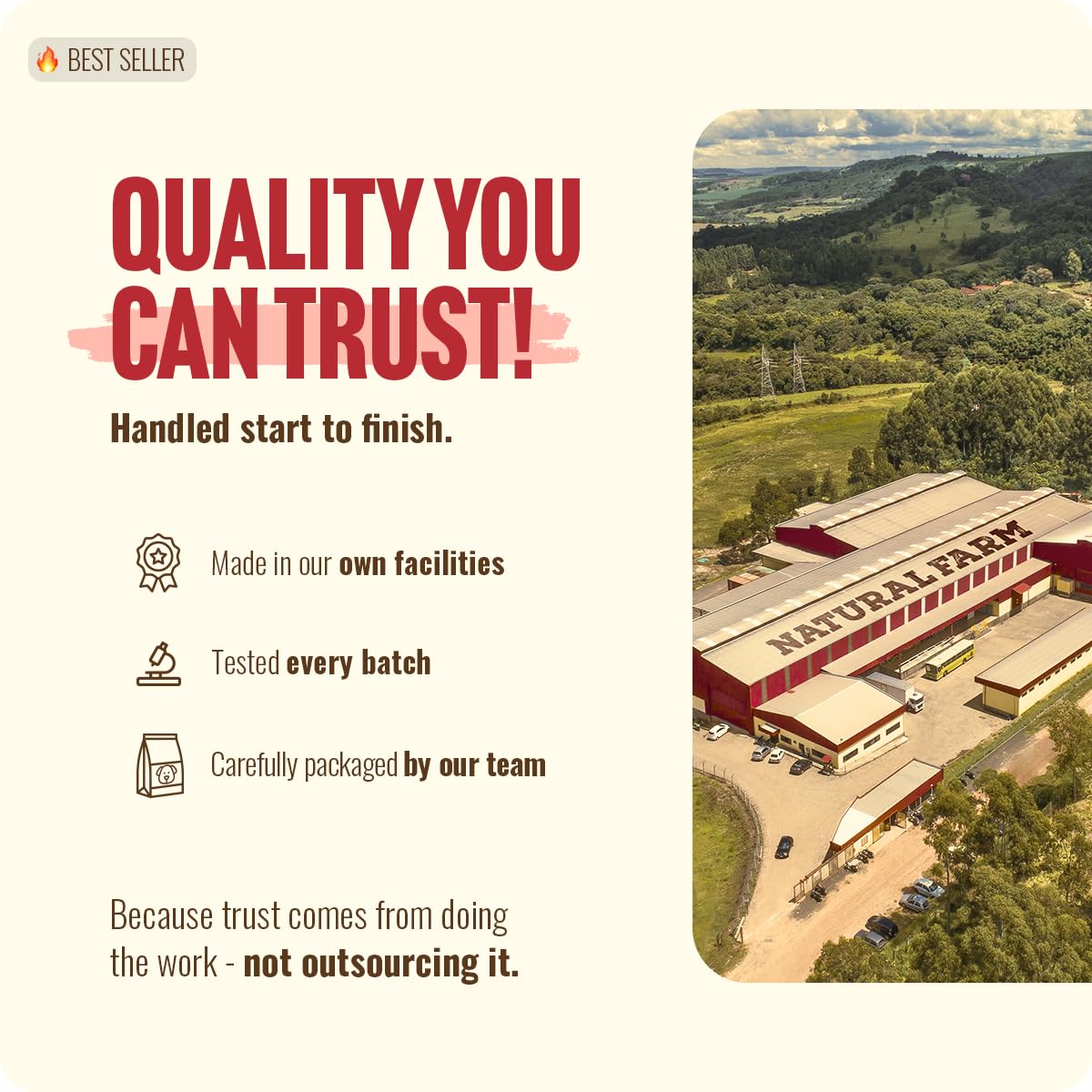 Natural Farm Odor Free Bully Sticks (4 Inch, 10 Pack) for Small & Medium Dogs - 100% Beef Chews for Pups, Non-GMO, Grain-Free, Fully Digestible Long Lasting Dog Treats