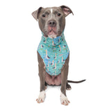 Pittie Clothing Pit Bull Muscle Tee for Dog Breed Dog Shirts Pet Printed Clothes Cool Funny