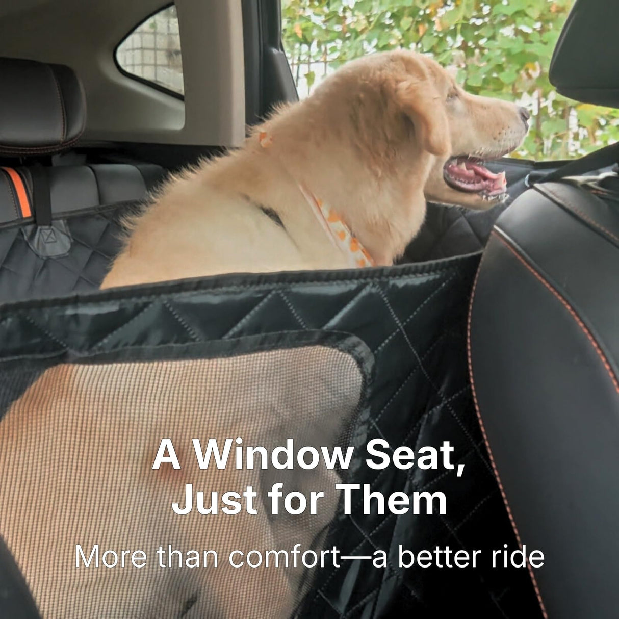 pawander Dog Car Seat Cover for Back Seat with Door Protection, Waterproof Dog Seat Hammock, Soft-Padded Pet Car Seat Cover for SUVs & Sedans (Black)