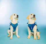 Dolly Doggy Parton Blue Denim Jacket with Collar for Dogs, Dog Apparel (Pack of 2)