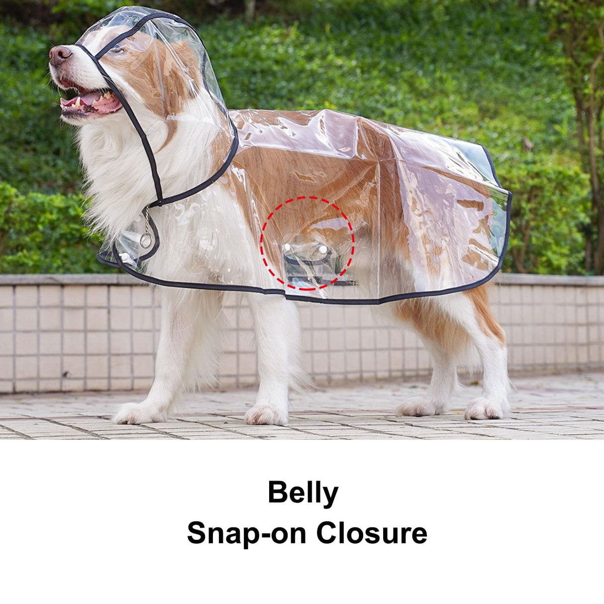 Dog Raincoat, Dog Jacket Hooded Slicker Poncho, Transparent Water Proof Resistant Rain Snow Pet Clothes for Small Medium Large Dogs Blue 8XL