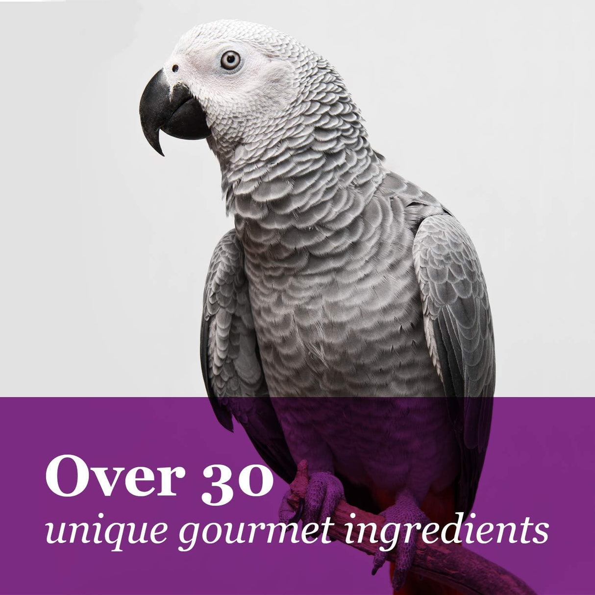 F.M. Brown's Tropical Carnival, Gourmet Macaw Food Big Bites for Big Beaks, Vitamin-Nutrient Fortified Daily Diet with Probiotics for Digestive Health, 5 lb
