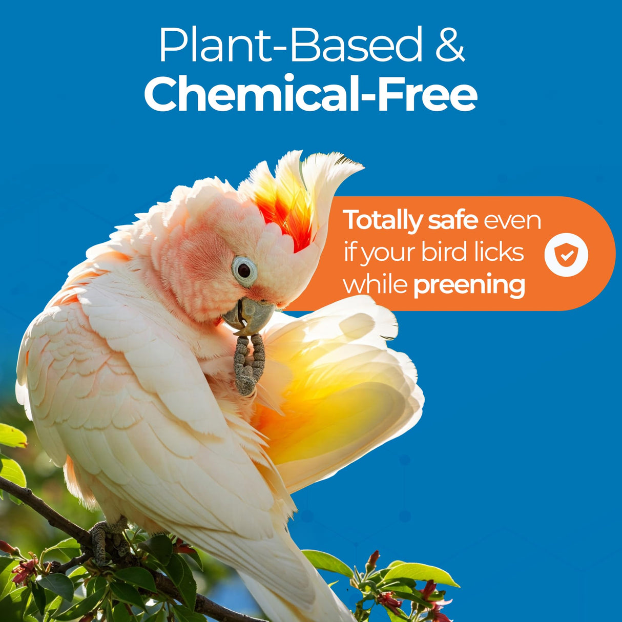 Aloe Vera Bird Spray for All Birds – Soothes Itchy Skin & Feather Plucking – 8oz Odor-Free Mist, Safe if Ingested, Daily Use Bird Mist, Softens Feathers, Natural Formula – Made in USA by UnRuffledRx™