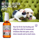 Sovereign Silver Pets First Aid Gel - Topical Skin Care Gel for Dogs and Cats with Pump, Argentum Metallicum - 2 fl oz (59mL)