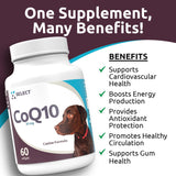 K9 Select CoQ10 Supplement for Dogs, 30mg - 60 Soft Gels per Bottle - Pet Supplement, Nutritional Softgels for Canine Heart Health, Cardiovascular & Gum Health, Energy