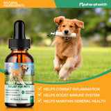 Yeast Infection Treatment for Dogs, Natural Dog Yeast Infection Treatment, Ear & Skin Itch Relief, Reduces Inflammation & Irritation, Herbal Dog Supplement Drops with Probiotics & Multivitamins, 2 FL