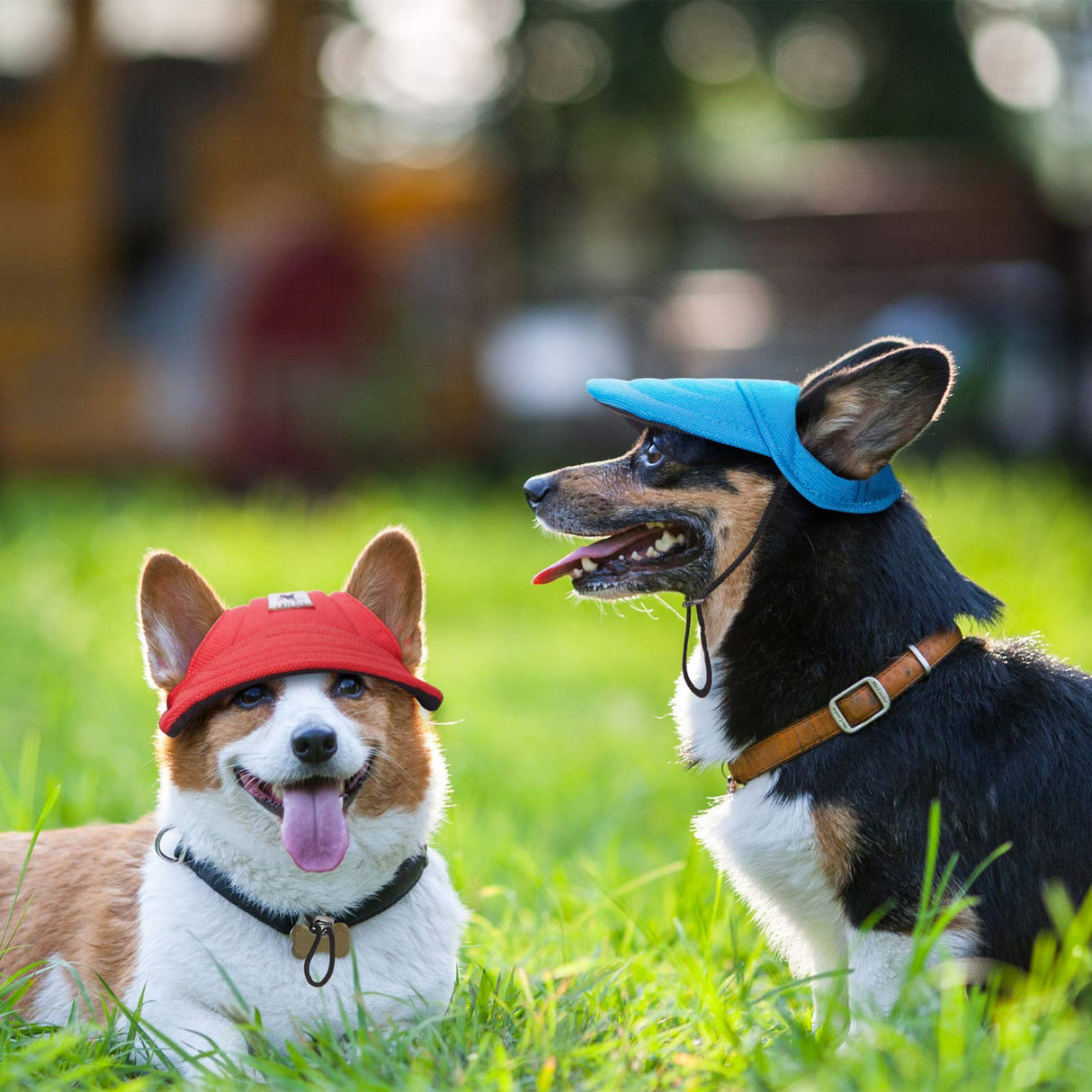 Geyoga 4 Pcs Dog Baseball Cap Sun Protection Dog Visor Hats Outdoor Sports Pet Sun Hat with Ear Holes and Adjustable Chin Strap for Puppy Small Pet