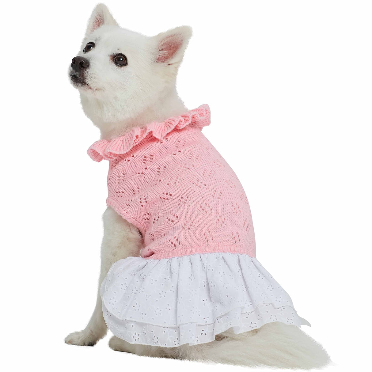 Blueberry Pet My Cutie Princess Ruffle Collar Dog Sweater Dress with Guipure Lace, Pink, Back Length 16", Fall Winter Clothes for Girl Dogs