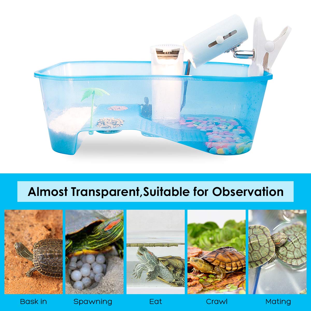 Turtle Tank with Multi-Function Areas, Easy Assembly, Ideal for Small Turtles & Reptiles, Includes Plastic Tree & Fishing Net