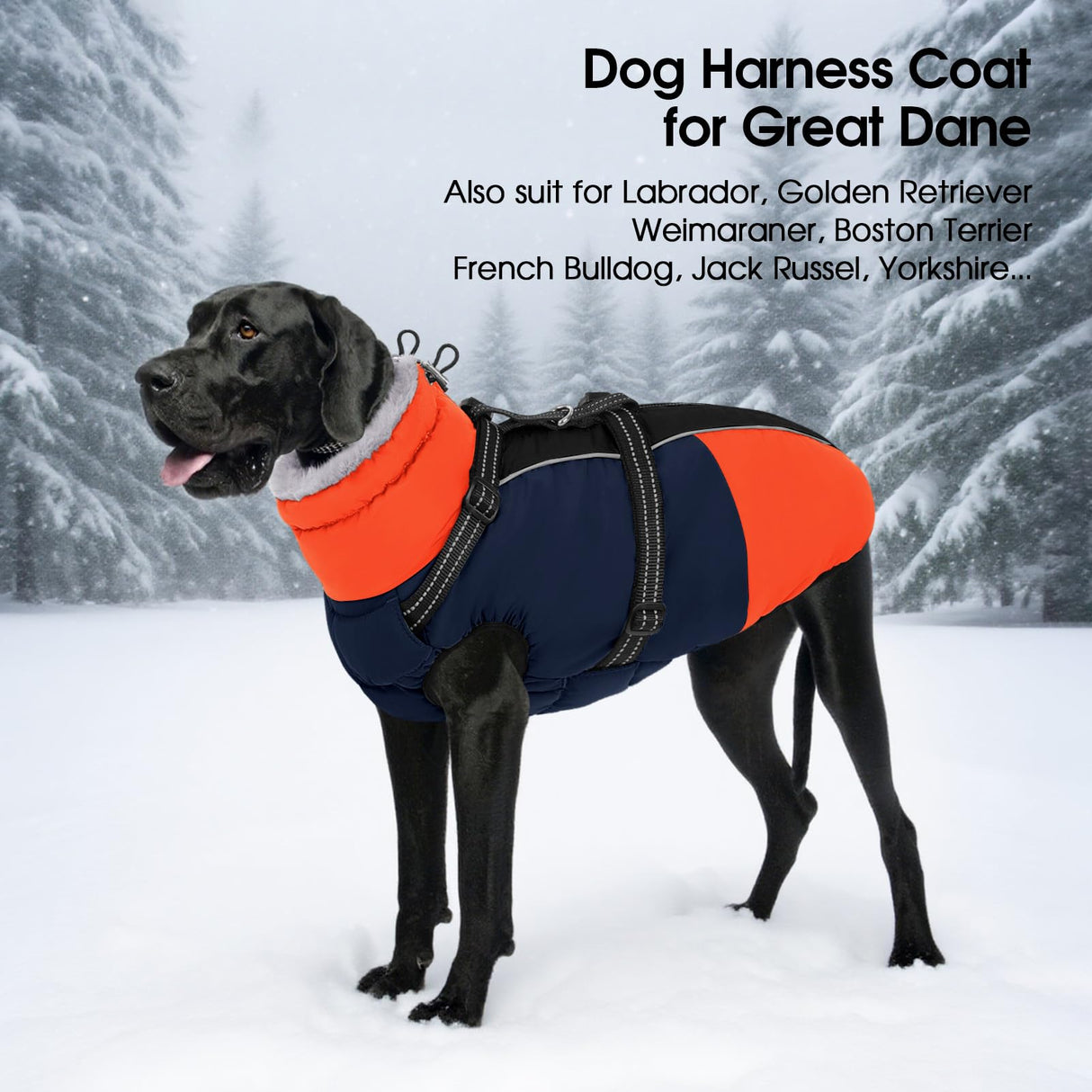 SUNFURA Dog Coat for Small Dogs, Warm Dog Winter Jacket with Harness Built in, Waterproof Pet Snow Jacket Fleece Cold Weather Coats for Puppy Chihuahua, Maltese, Blue XS