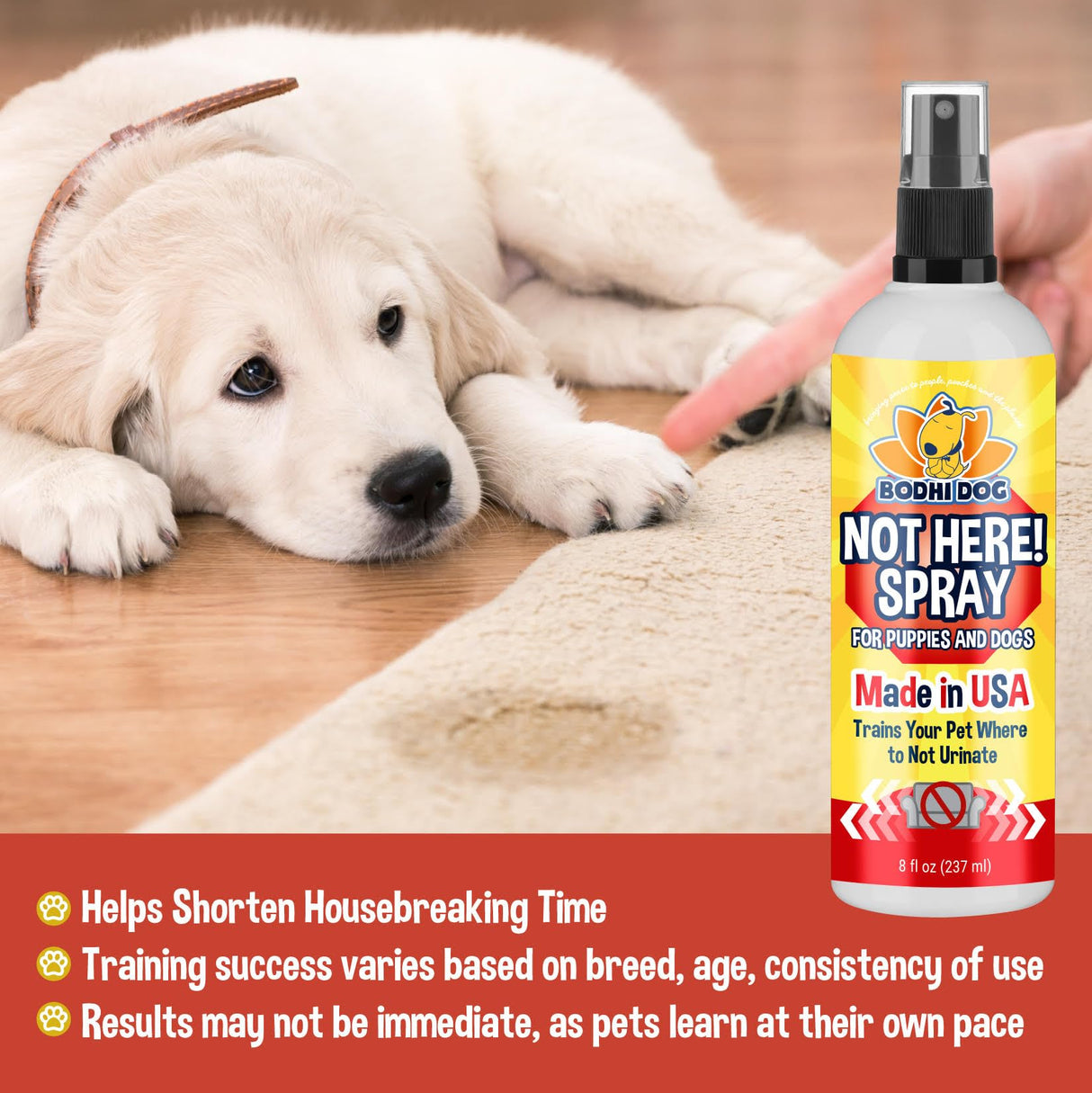 Bodhi Dog Not Here Spray - Trains Pets Where Not To Pee - Dog & Puppy Potty Training Spray to Stop Marking & Urinating Indoors or Outdoors - Safe for Furniture, Carpet & Floors - Made in USA (8 Fl Oz)