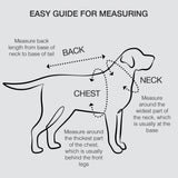 Pet Passion Velour Dog Pet Hoodie Coat for Small, Medium and Large Dogs, Pink, XX-Small