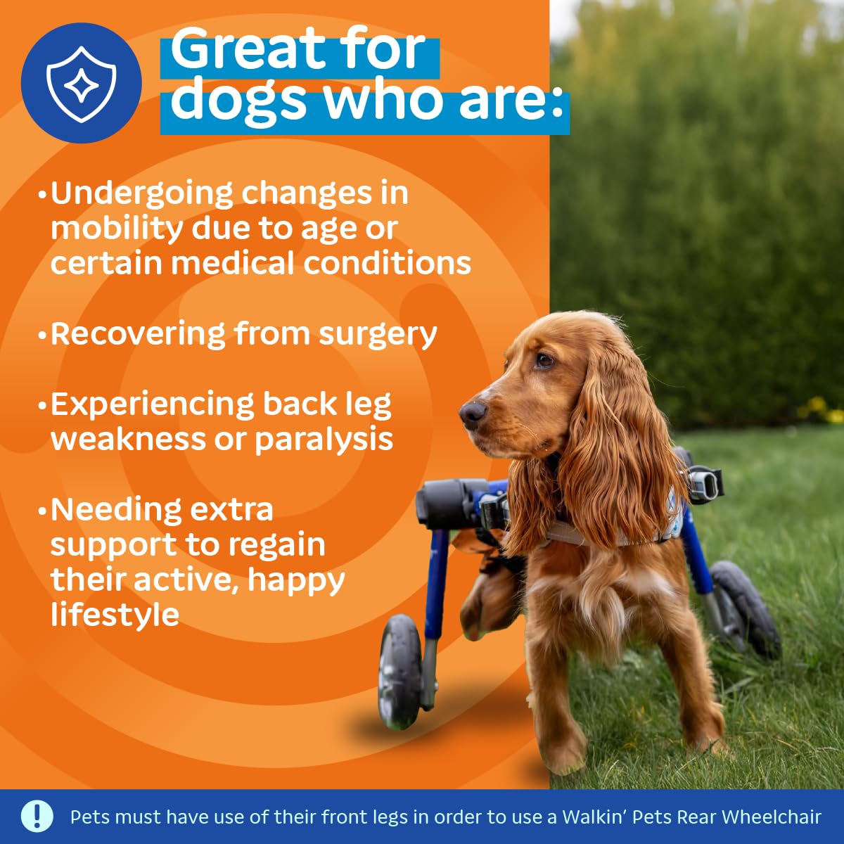 Walkin' Wheels Dog Wheelchair - for Medium Dogs 26-49 lbs - Veterinarian Approved - Dog Wheelchair for Back Legs