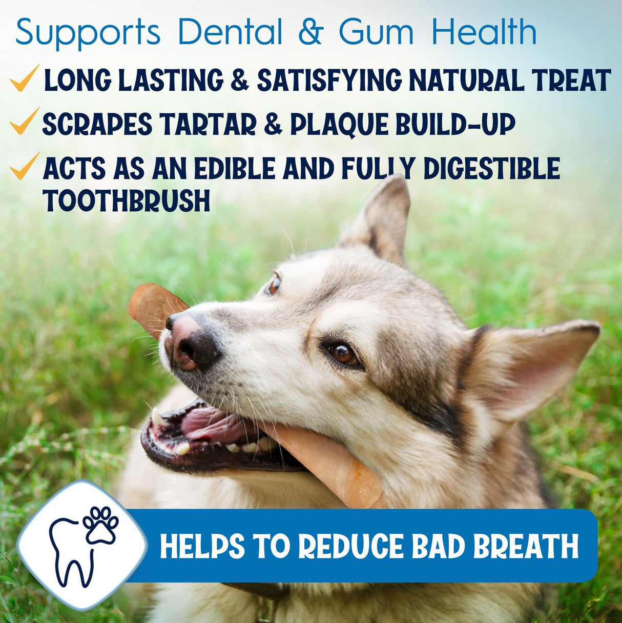 Fetcheroni 12" Collagen Sticks for Dogs – Low Odor Long-Lasting Bully Stick & Rawhide Alternative, Single Ingredient Beef Bone, High Protein Dental Treat, Vet Approved, Improves Joint Health – 20 Pack