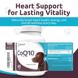 K9 Select CoQ10 Supplement for Dogs, 30mg - 60 Soft Gels per Bottle - Pet Supplement, Nutritional Softgels for Canine Heart Health, Cardiovascular & Gum Health, Energy