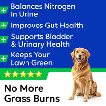 Load image into Gallery viewer, BARK&amp;SPARK Green Grass Chews - Dog Pee Grass Spot Saver Caused by Dog Urine - Urine Neutralizer for Lawn, Gut Health Probiotics &amp; Enzymes, Lawn Burn from Pee, Grass Burn Spot Chews Rocks
