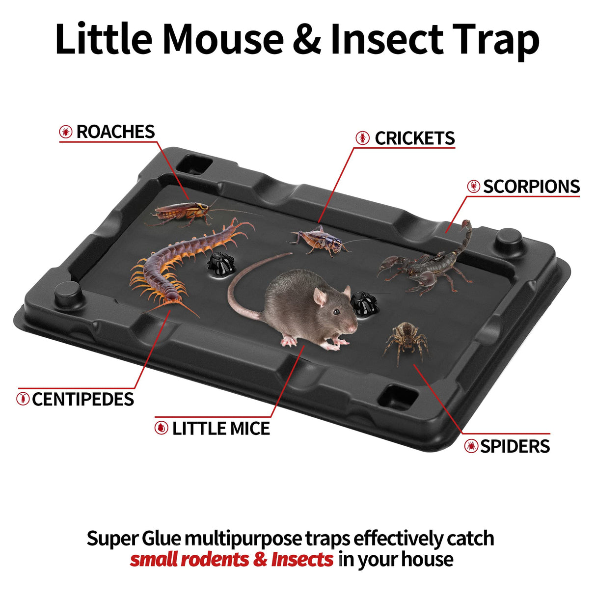LULUCATCH Mouse & Insect Traps, Heavier Sticky Traps with Non-toxic (12 Pack)