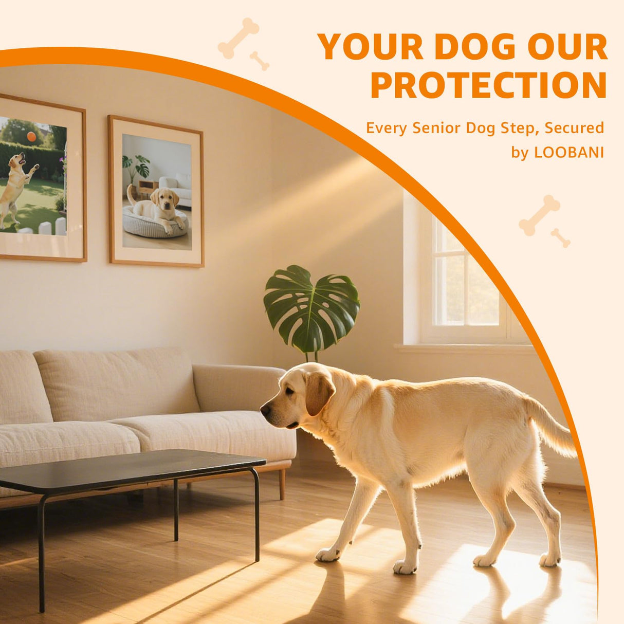 Paw Pads for Dogs Traction - Anti-Slip Sticky Dog Paw Protector Pads for Senior Dogs, Non Slip Adhesive Dog Paw Pads Anti Slip for Slippery Hardwood Floors to Prevent Slipping While Walking Running