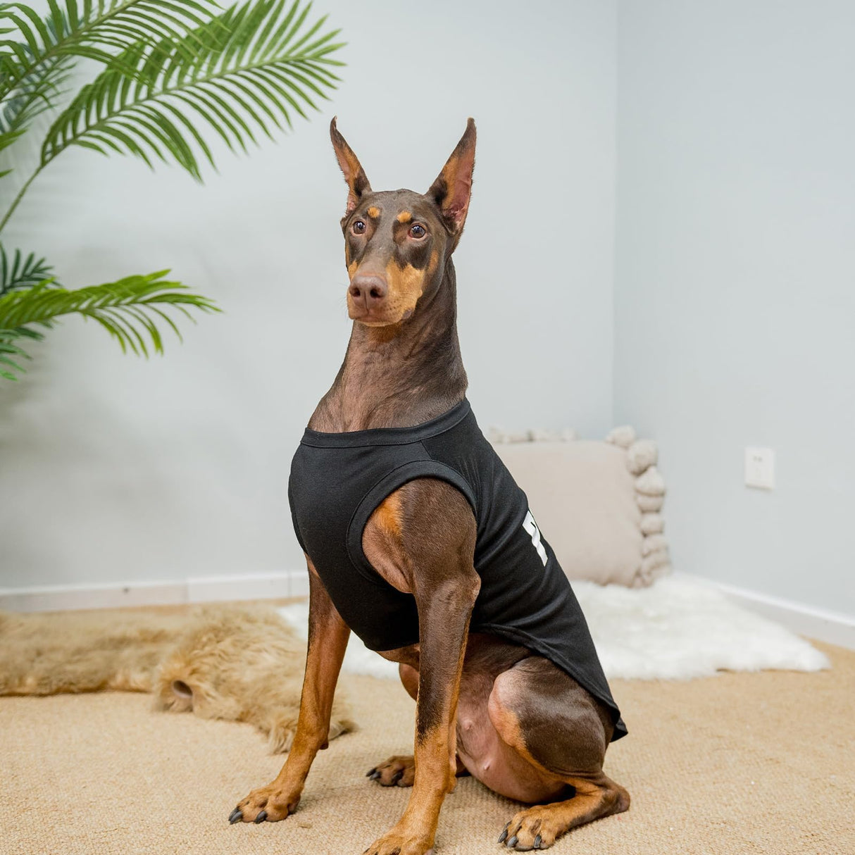 BINGPET Police Dog Shirts,Soft Cotton Puppy Tshirt,Breathable Lightweight Dog Costumes Tank Top Vest,Machine Washable Stretchy Clothes for Small Medium Large Dogs Boy Girl